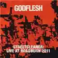 Godflesh Streetcleaner: Live at Roadburn 2011