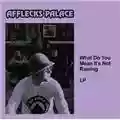 Afflecks Palace What Do You Mean It's Not Raining?
