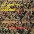 Experimental Audio Research Millennium Music - A Meta-Musical Portrait