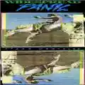 Widespread Panic Space Wrangler