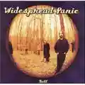 Widespread Panic Ball