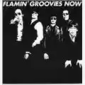 Flamin' Groovies Now