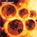 Procol Harum The Well's on Fire