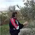 Arsen Palestini Finding A New Job