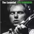 Van Morrison The Essential Van Morrison