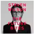 Steven Wilson The Future Bites
