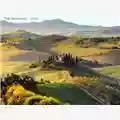 Basset Band Hills