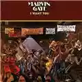 Marvin Gaye I Want You