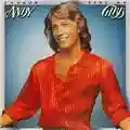 Andy Gibb Shadow Dancing