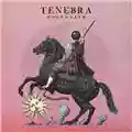 Tenebra Moongazer