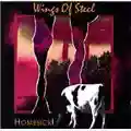 Wings of Steel Homesick