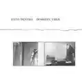 Steve Piccolo Domestic Exile