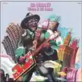 Bo Diddley Where It All Began