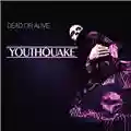 Dead or Alive Youthquake