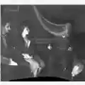 Duran Duran Danse Macabre
