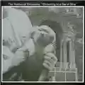 Nocturnal Emissions Drowning In A Sea Of Bliss (Anthems Of The Meat Generation)