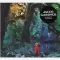 Jacco Gardner Cabinet of Curiosities