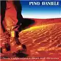 Pino Daniele Non calpestare i fiori nel deserto