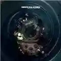 North Sea Echoes Really Good Terrible Things