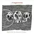 Rapoon Skulls On The Plains Of Turkey