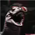 Rivo Tano Vezzanico La murena