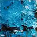 Edgar Froese Aqua