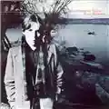 Peter Baumann Trans Harmonic Nights