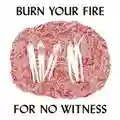 Angel Olsen Burn Your Fire for No Witness