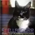 Nova Cat Purring Sound Stellarpurr