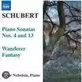 Eldar Nebolsin Schubert. Sonate per pianoforte nn. 4 e 13 - Fantasia 'Wanderer'