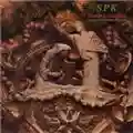 SPK Zamia Lehmanni (Songs of Byzantine Flowers)