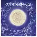 Whitesnake Still of the Night