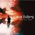 It Bites The Tall Ships
