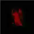 Deathless Void The Voluptuous Fire Of Sin