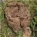 Malignant Defecation Malignant Defecation