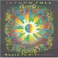 Jethro Tull Roots to Branches