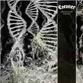 Coroner Dissonance Theory