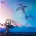 Styx Circling From Above