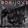 Bon Jovi Slippery When Wet