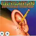 Butthole Surfers Electriclarryland