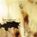 Nine Inch Nails The Downward Spiral