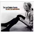 The Last Shadow Puppets The Age of the Understatement