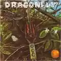 Dragonfly Dragonfly