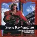 Stevie Ray Vaughan Collections