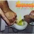 La recensione di gattomanzù