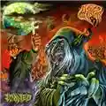 Acid Witch Stoned