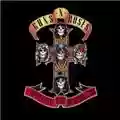 Guns N' Roses Appetite for Destruction