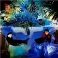 The Associates Sulk