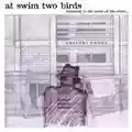 At Swim Two Birds Returning to the Scene of the Crime