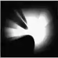Linkin Park A Thousand Suns